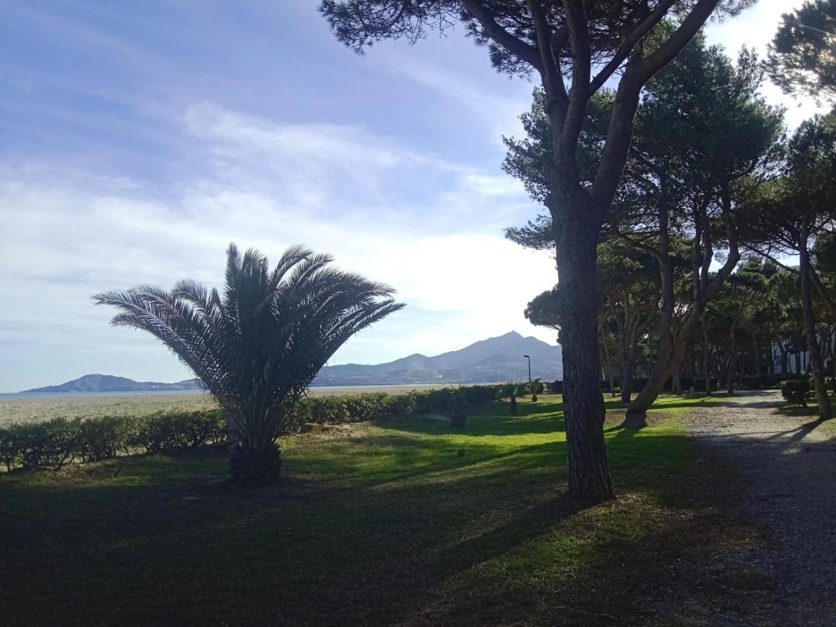 Belle Vue Au Calme Sur La Plage Argelès-sur-Mer Exteriér fotografie